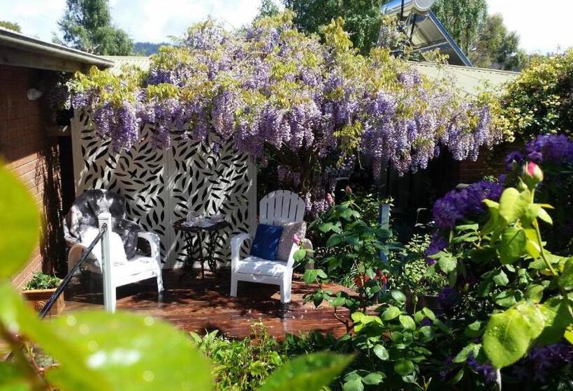 مبيت وإفطار Birch Lane