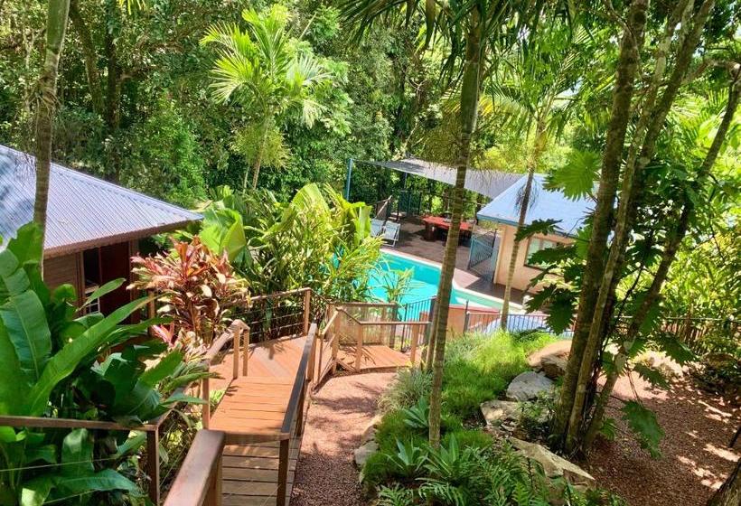 مبيت وإفطار Cairns Rainforest Retreat