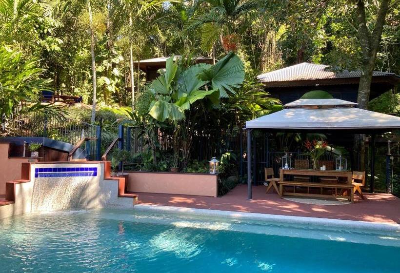 مبيت وإفطار Cairns Rainforest Retreat