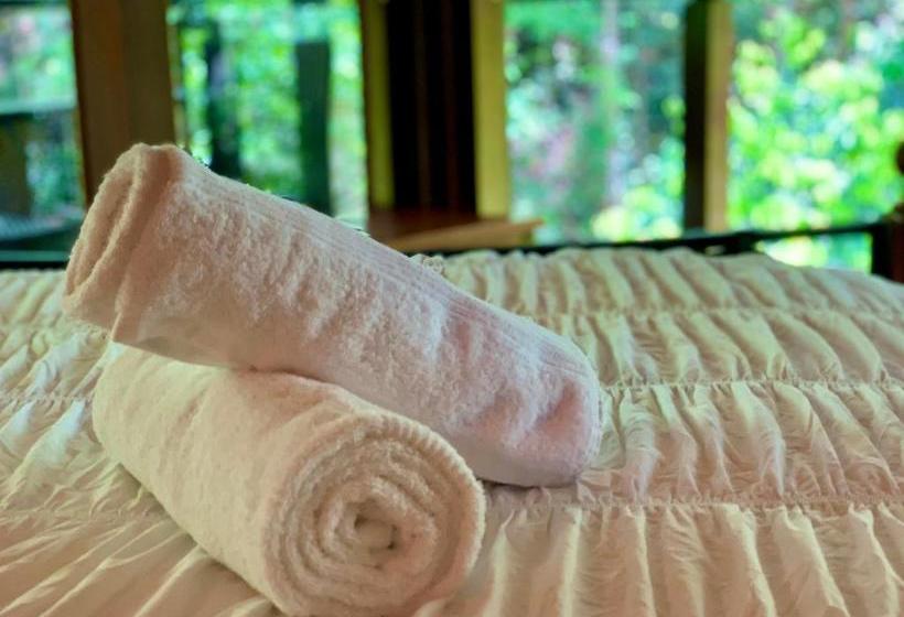 مبيت وإفطار Cairns Rainforest Retreat