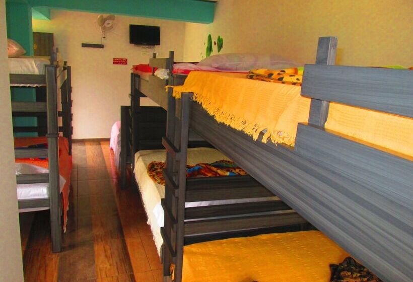 Eco Hotel Parador De Rapi