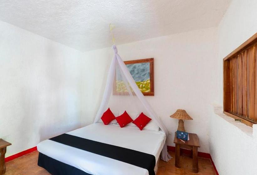 호텔 México Creo En Ti