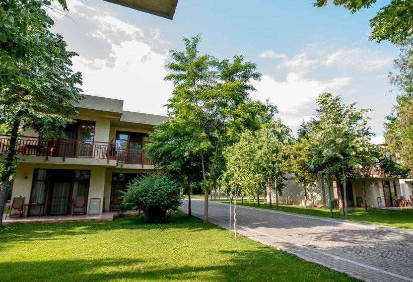 בית מלון כפרי Club De Vacanta Mediterraneo