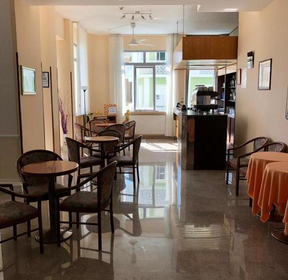 فندق International