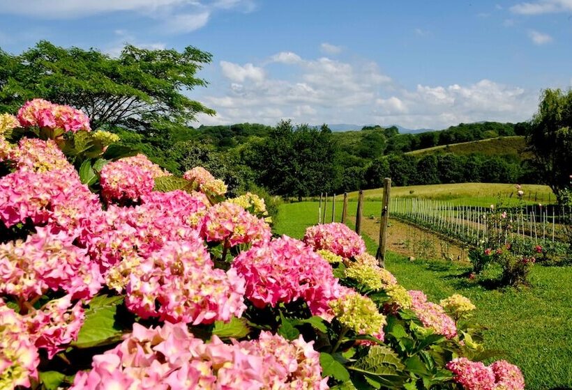 فندق Restaurant Baratxartea