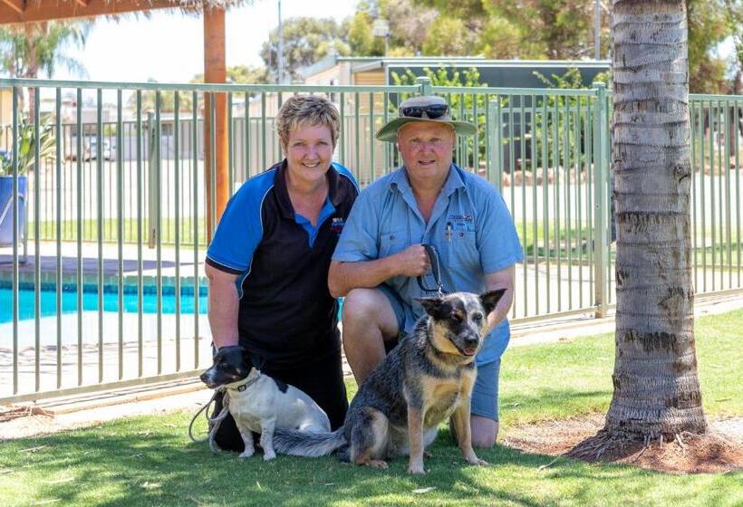 هتل Paringa Caravan Park