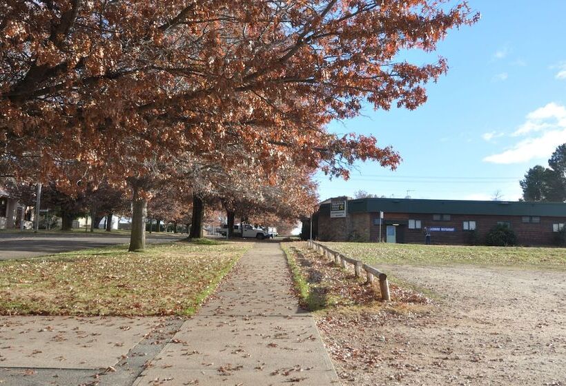 호텔 Selwyn Star Lodge