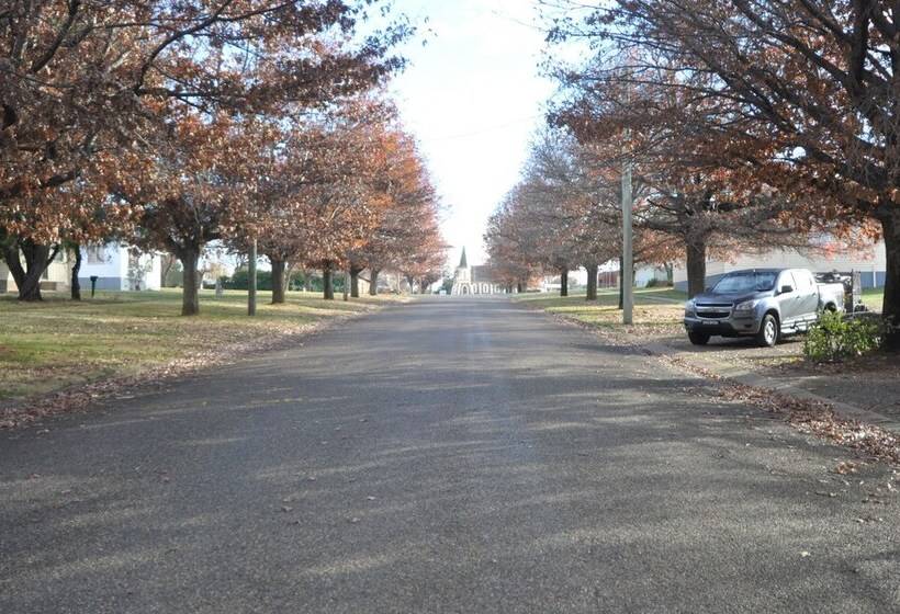 호텔 Selwyn Star Lodge