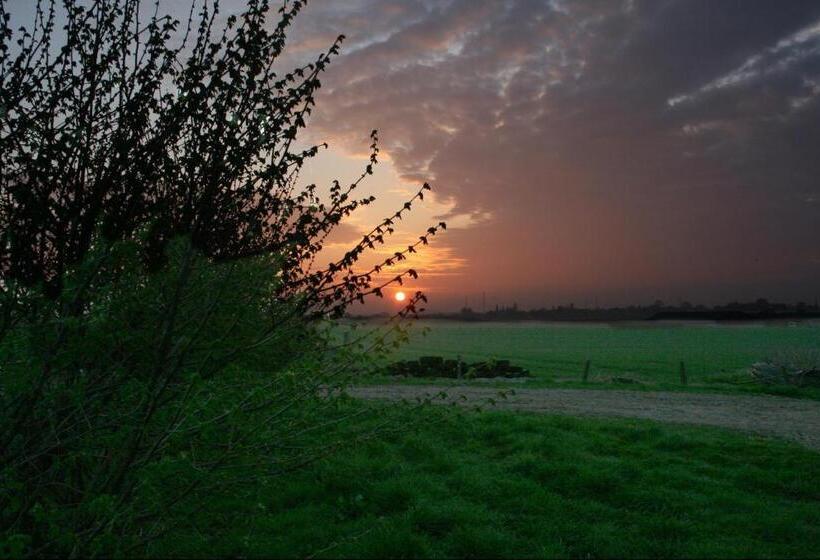 Отель Twee Broeders