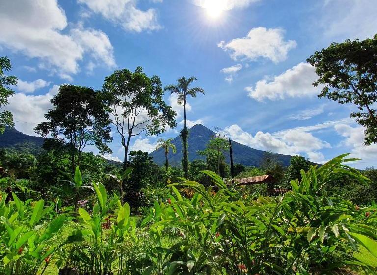 酒店 Yellow Tree Suites