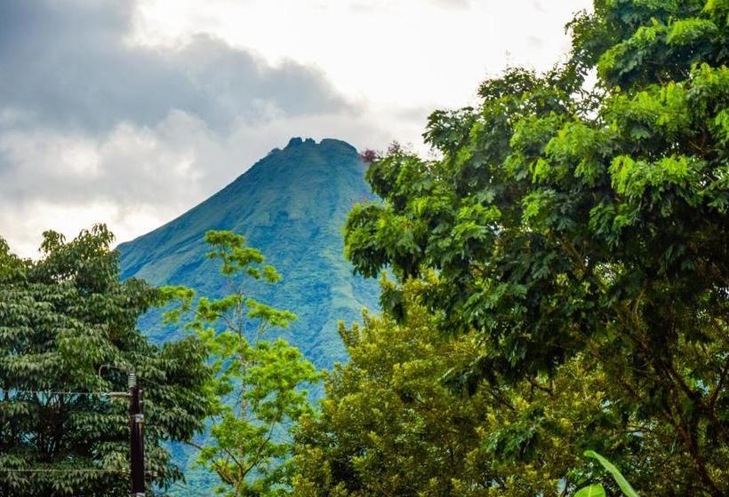 酒店 Yellow Tree Suites