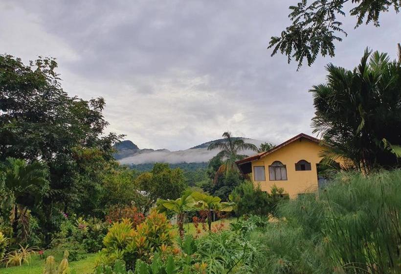 酒店 Yellow Tree Suites