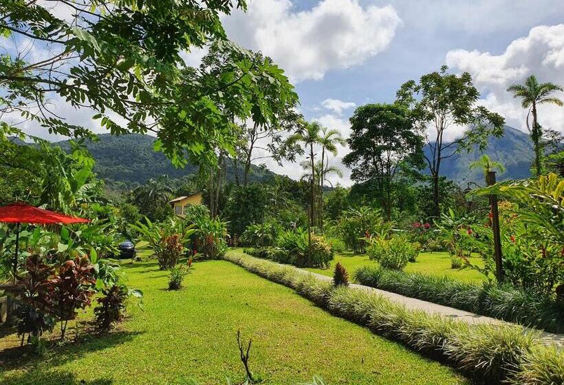 酒店 Yellow Tree Suites