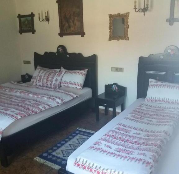 פנסיון Casa Soseco