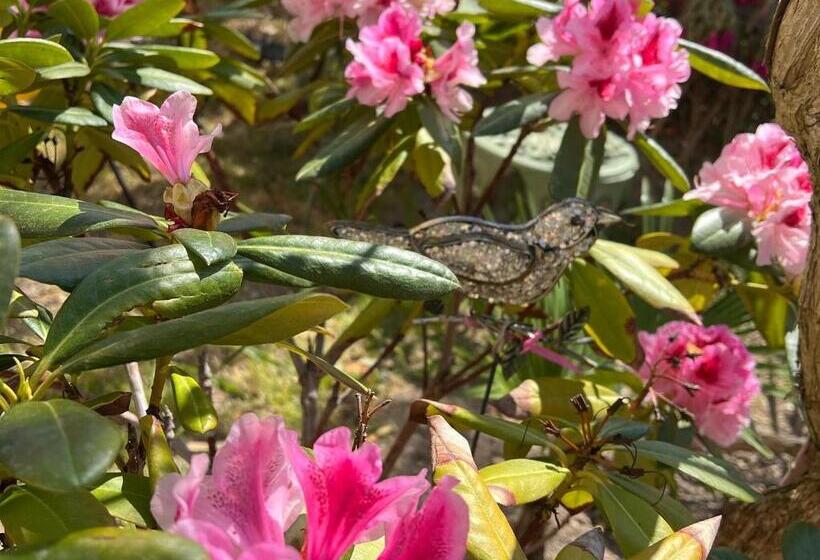 פנסיון Domaine La Condamine Crillon Le Brave