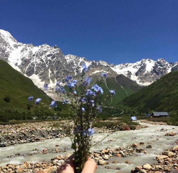پانسیون Nizharadze's Tower