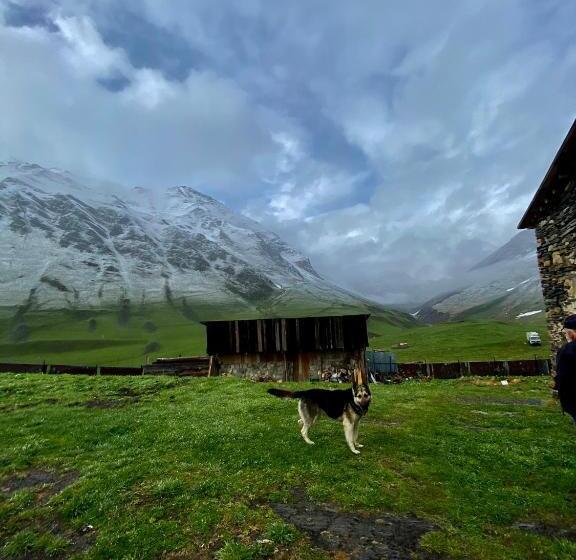 پانسیون Nizharadze's Tower