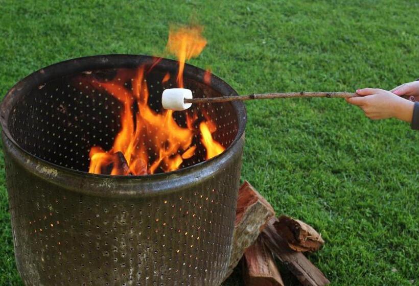 膳宿费 Pine Country Caravan Park