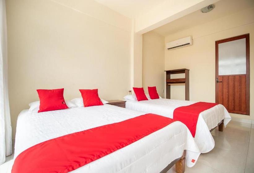 بنسيون Las Flores