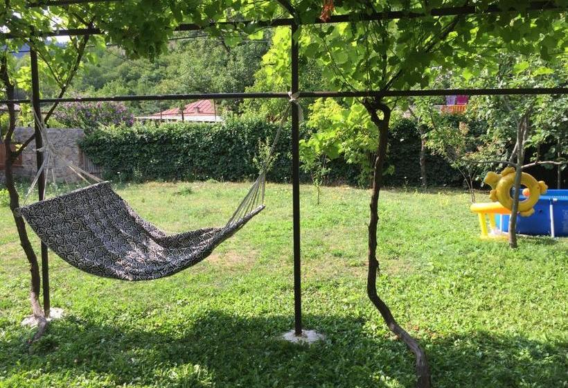 پانسیون Villa Borjomi