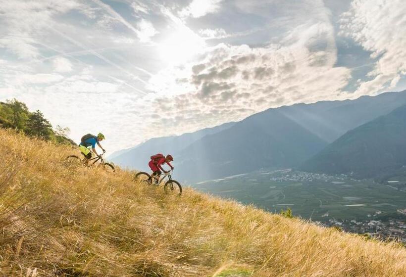 Pension Sattlerenglhof