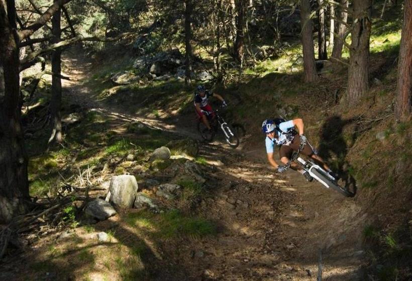 Pension Sattlerenglhof