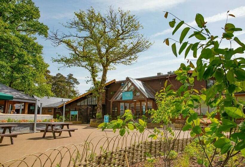 Курорт Sandy Balls Holiday Village