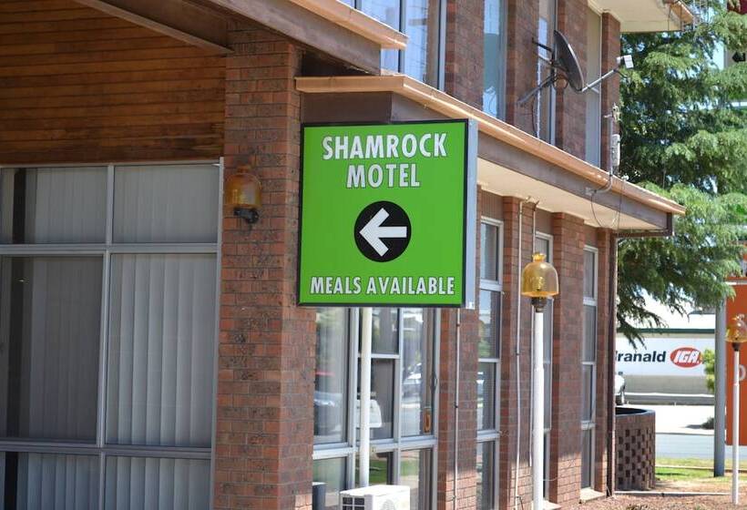 모텔 The Shamrock Hotel Balranald