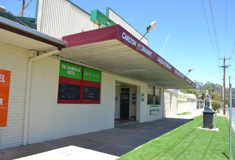 모텔 The Shamrock Hotel Balranald