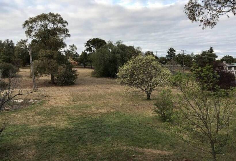 Young Budget Accommodation   Hostel