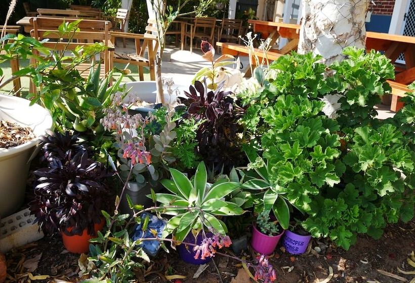 هاستل Geraldton Backpackers