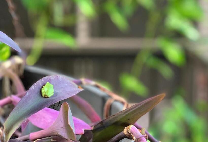 هاستل Kimberley Travellers Lodge  Broome Yha