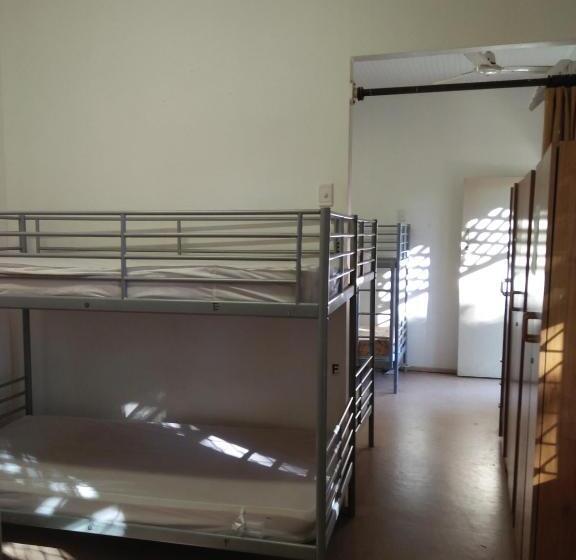 هاستل Roey Backpackers And Party Bar