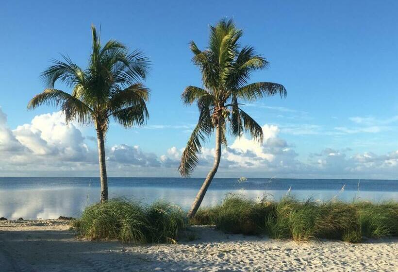 مبيت وإفطار Deer Run On The Atlantic
