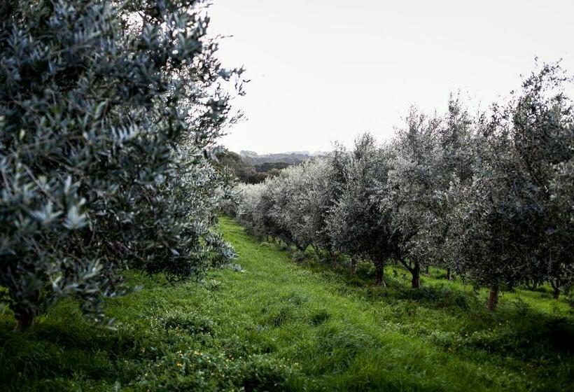 住宿加早餐  Hart's Farm