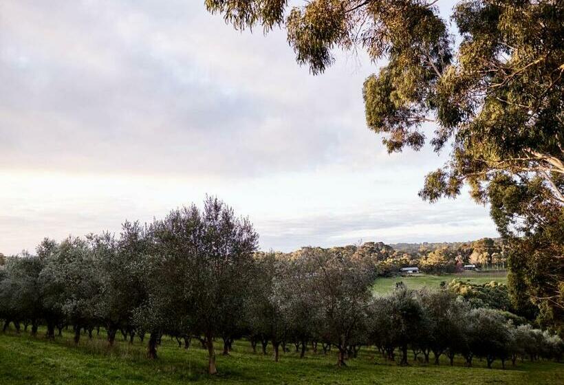 مبيت وإفطار Hart's Farm