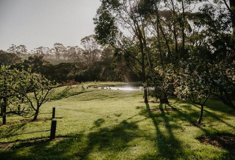 住宿加早餐  Hart's Farm