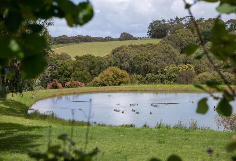 住宿加早餐  Hart's Farm
