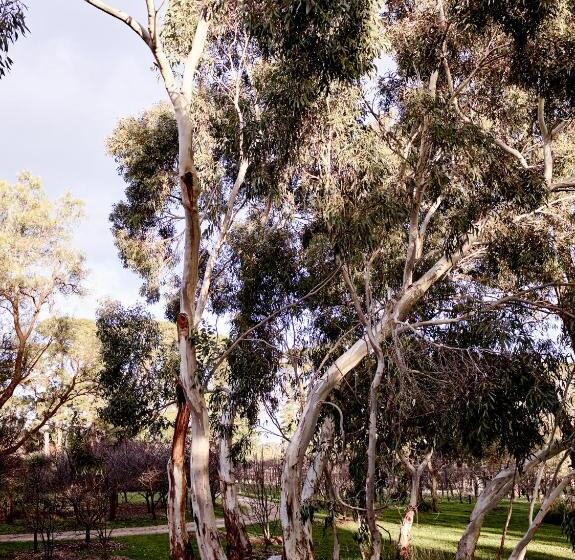 مبيت وإفطار Hart's Farm