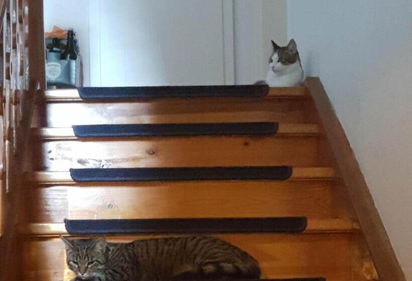 민박 Landhaus Graßmann