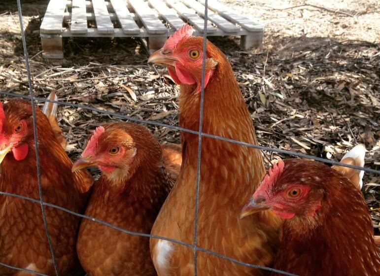 ベッドアンドブレックファースト Perlubie Sea