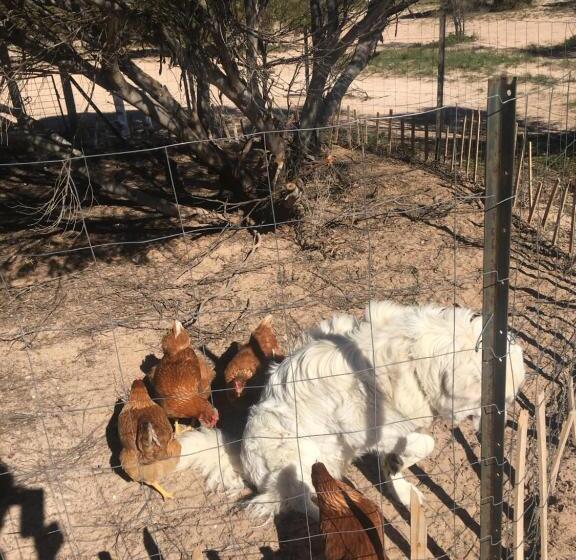 ベッドアンドブレックファースト Perlubie Sea