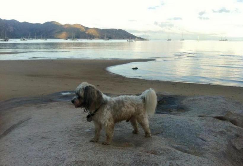 Executive Properties In North Ward Townsville And On Magnetic Island