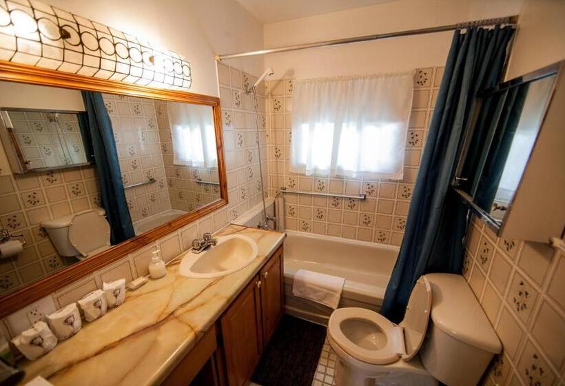 Отель Auberge La Coudriere Cool