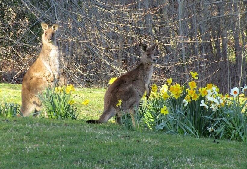 בית מלון כפרי Braeside Mount Macedon Country Retreat Bed And Breakfast