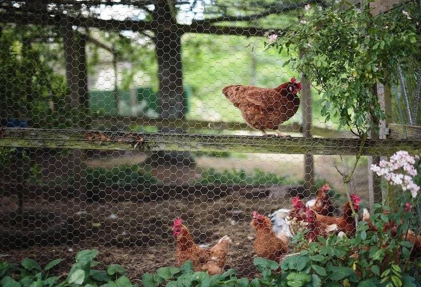 בית מלון כפרי Braeside Mount Macedon Country Retreat Bed And Breakfast