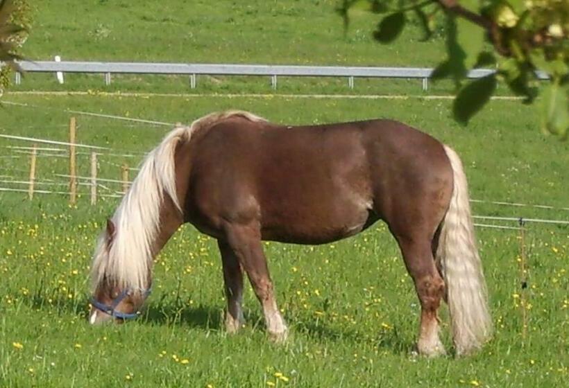 Hotel Feriengasthof Löwen