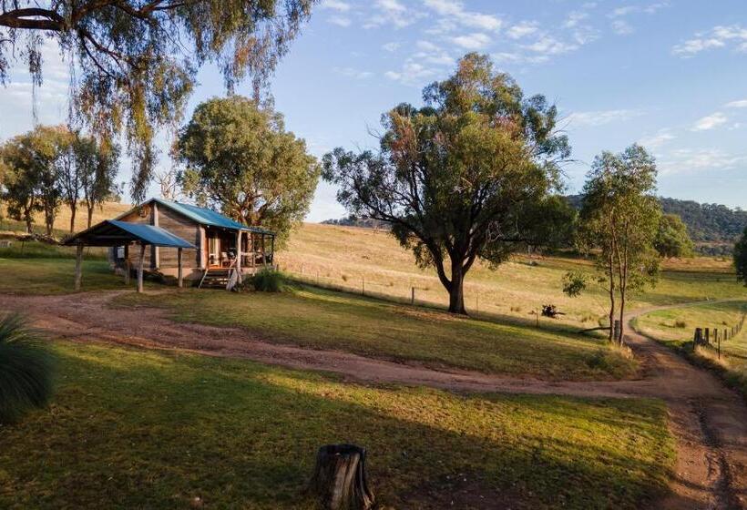فندق Gaddleen Grove Cottages