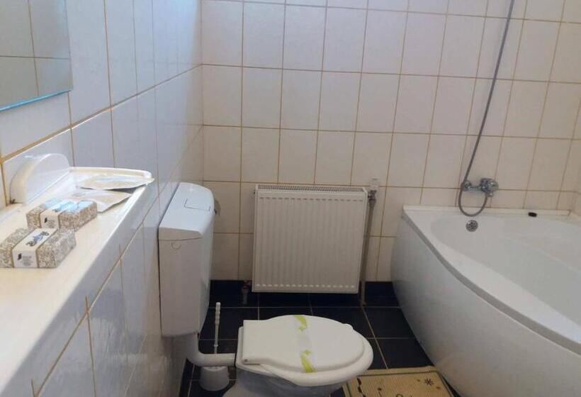 בית מלון כפרי Maier