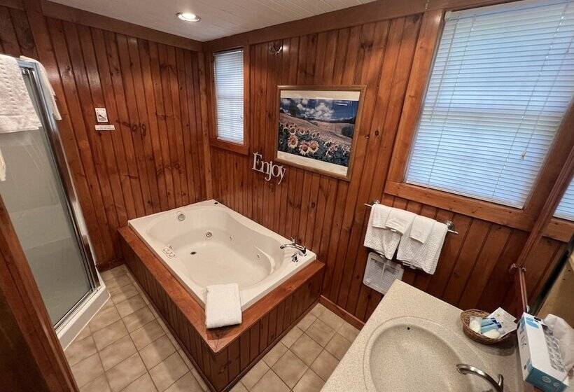 ホテル Smoky Falls Lodge